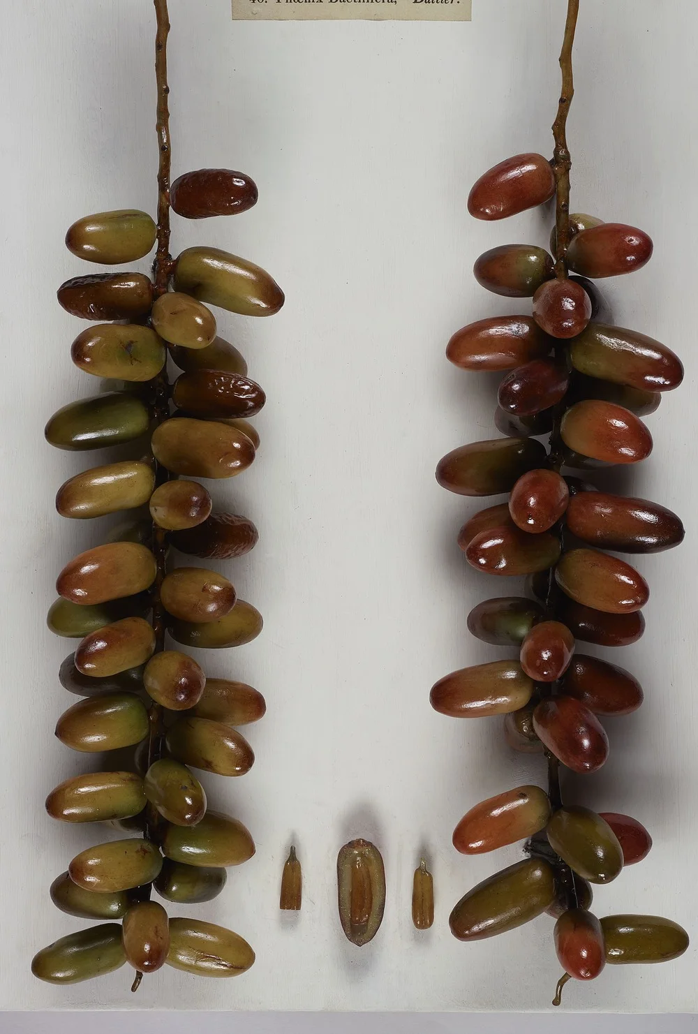 The Benefits of Becoming a Kurma Agent Through a Direct Importer